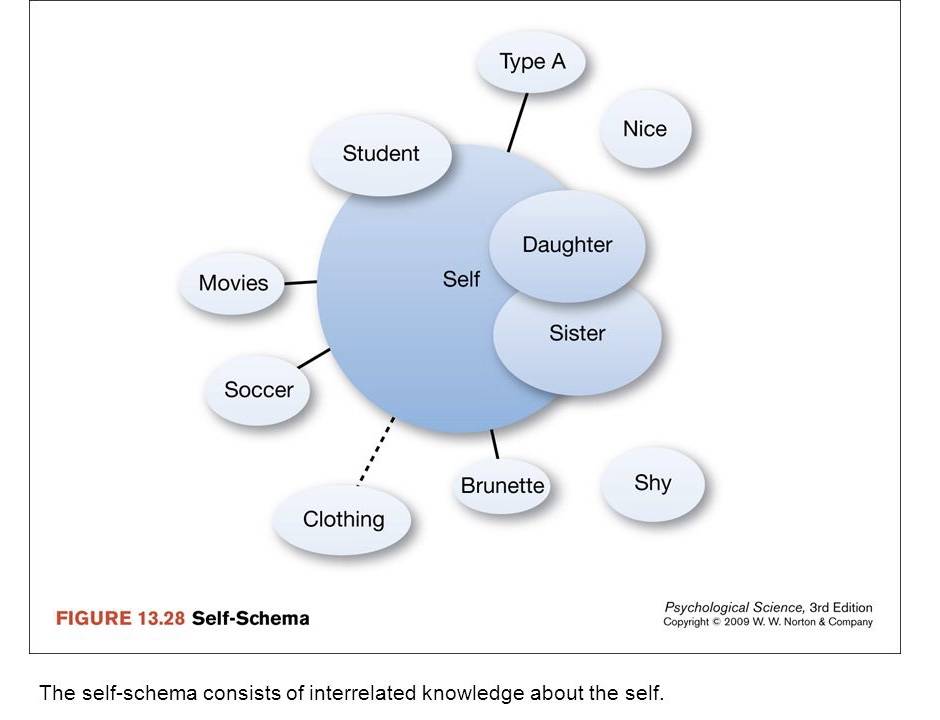 The self-schema consists of interrelated knowledge about the self