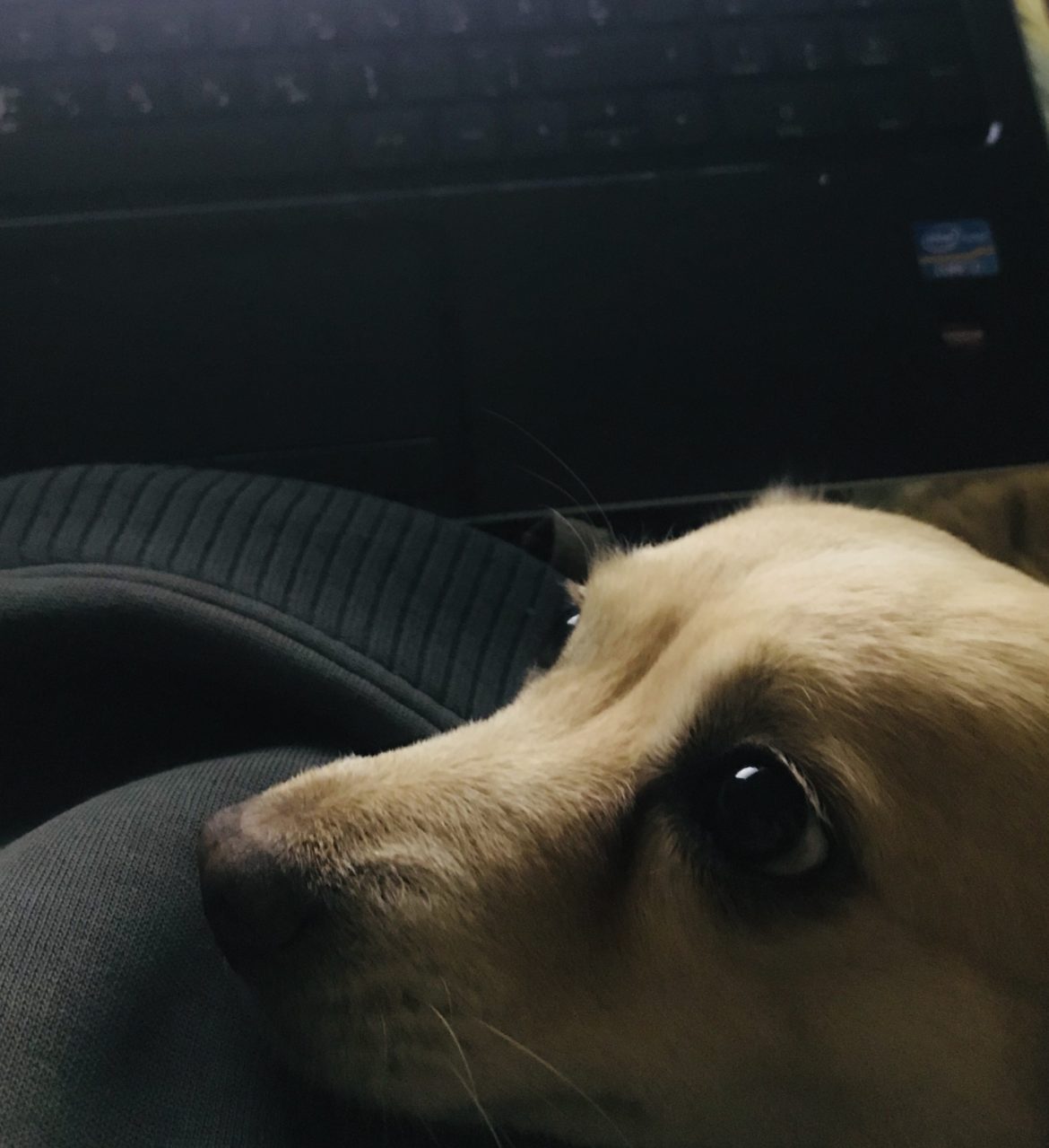 این توهم زندگی‌گونه ارزشش را دارد؟