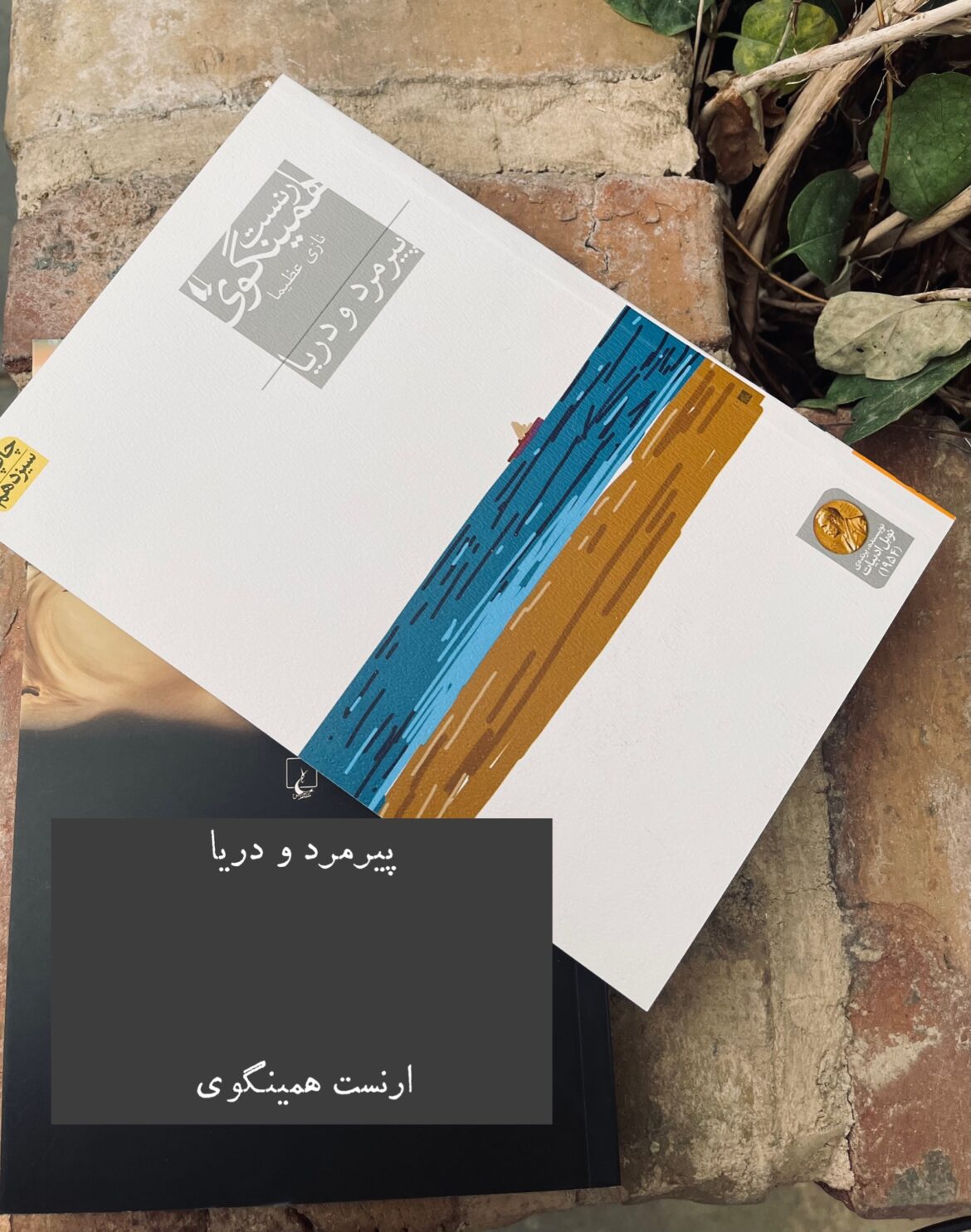 پیرمرد و دریا – ارنست همینگوی