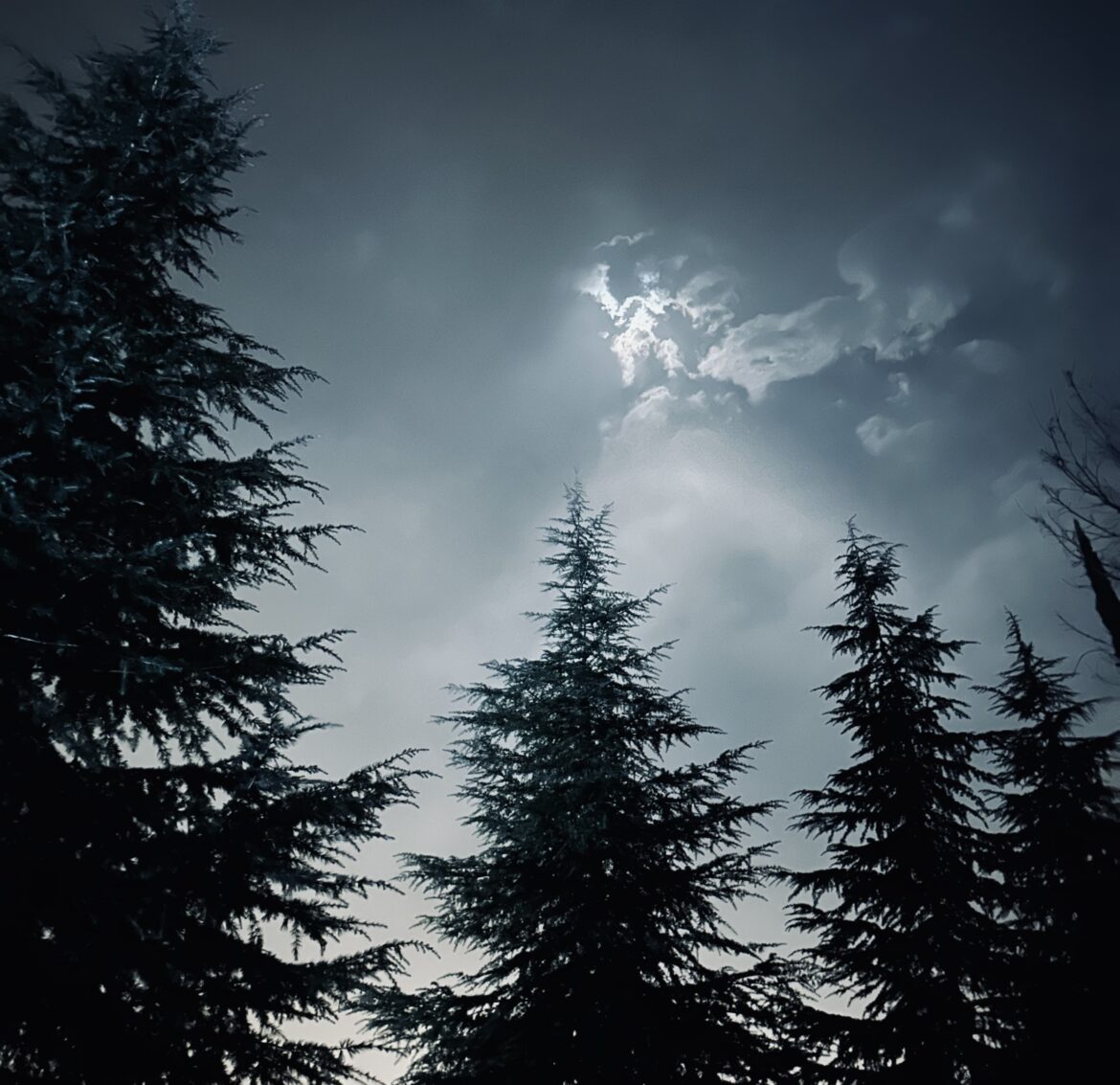 علاج یأس با فهم درمیانگی