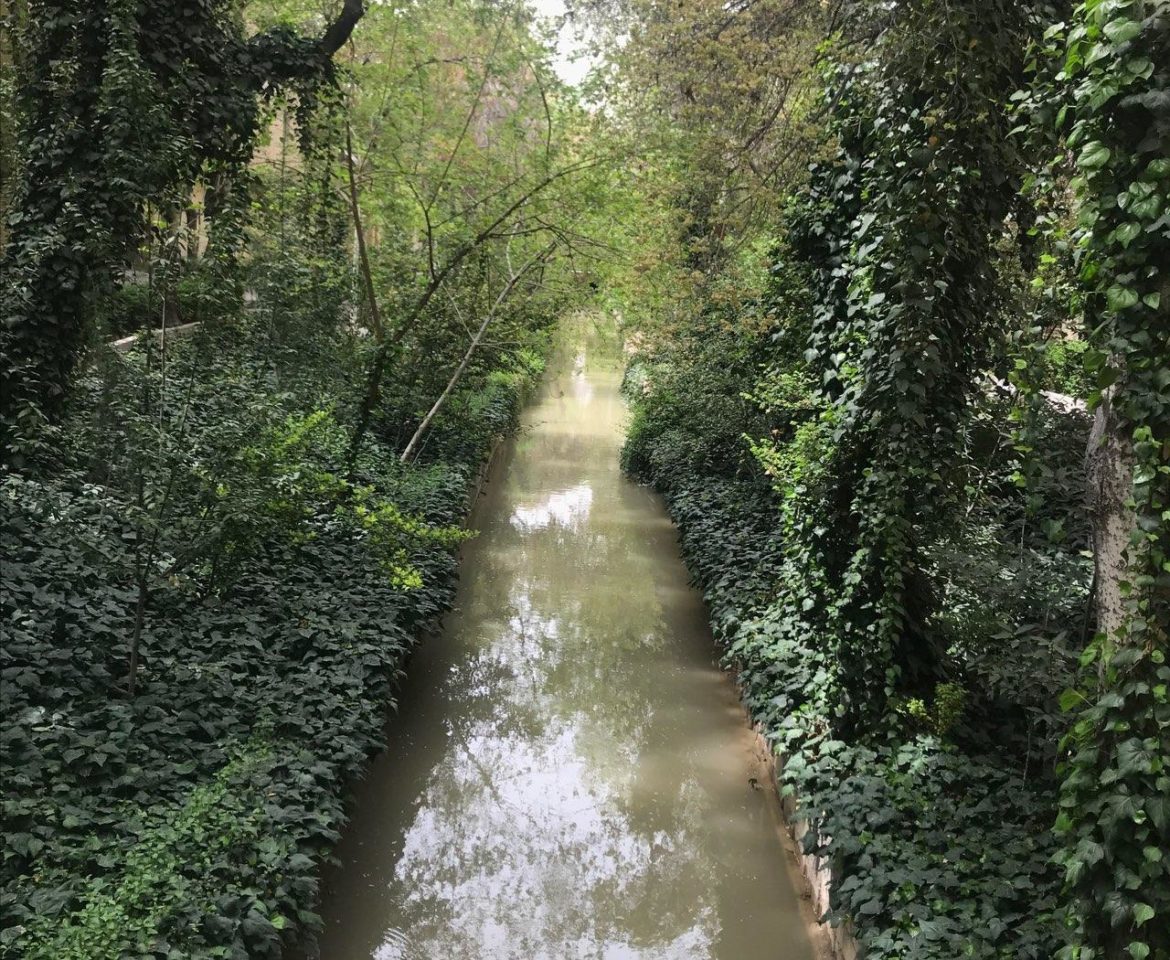 آه از آن رفتگان بی‌برگشت