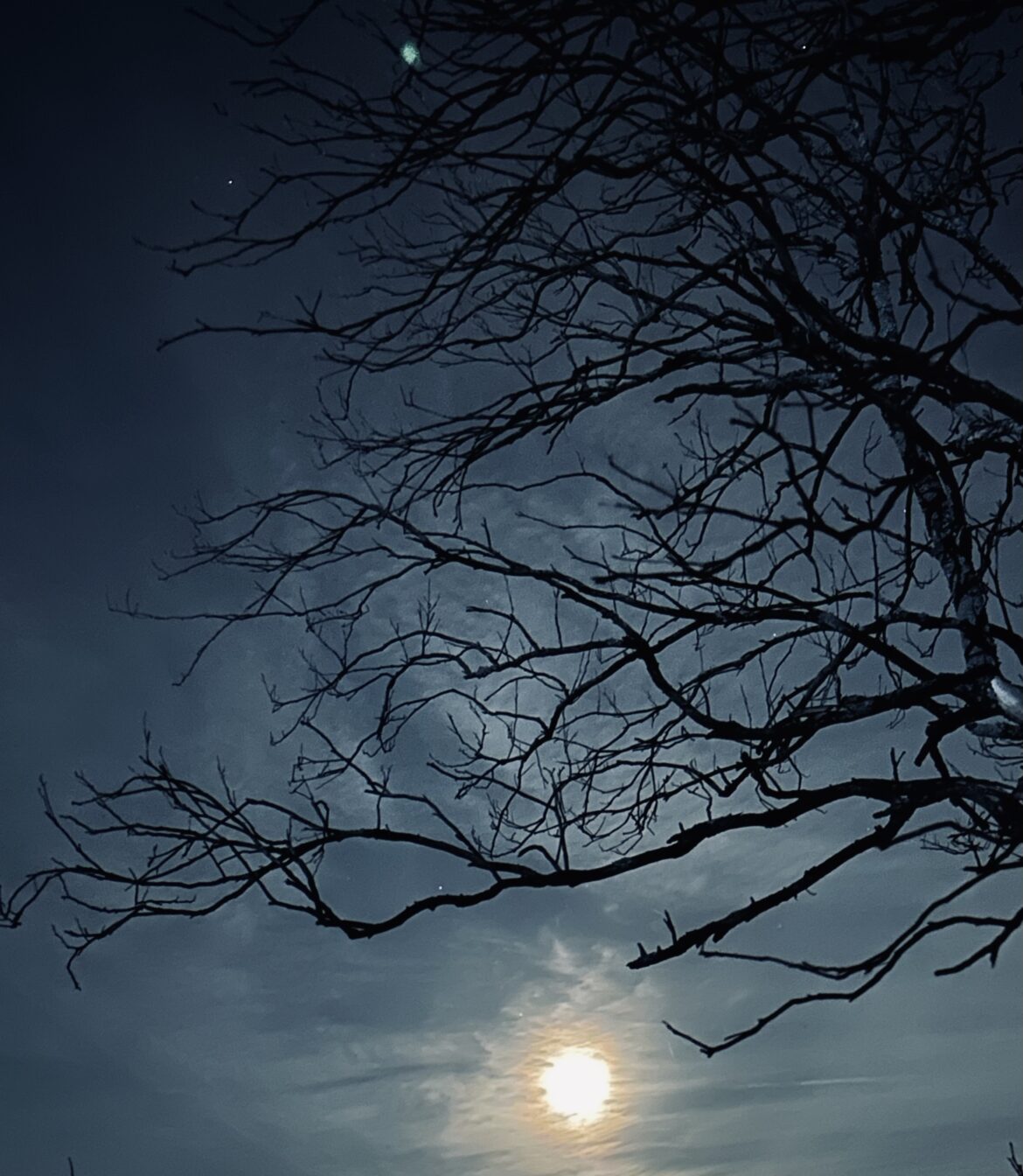 هنر در عصر ظلمت