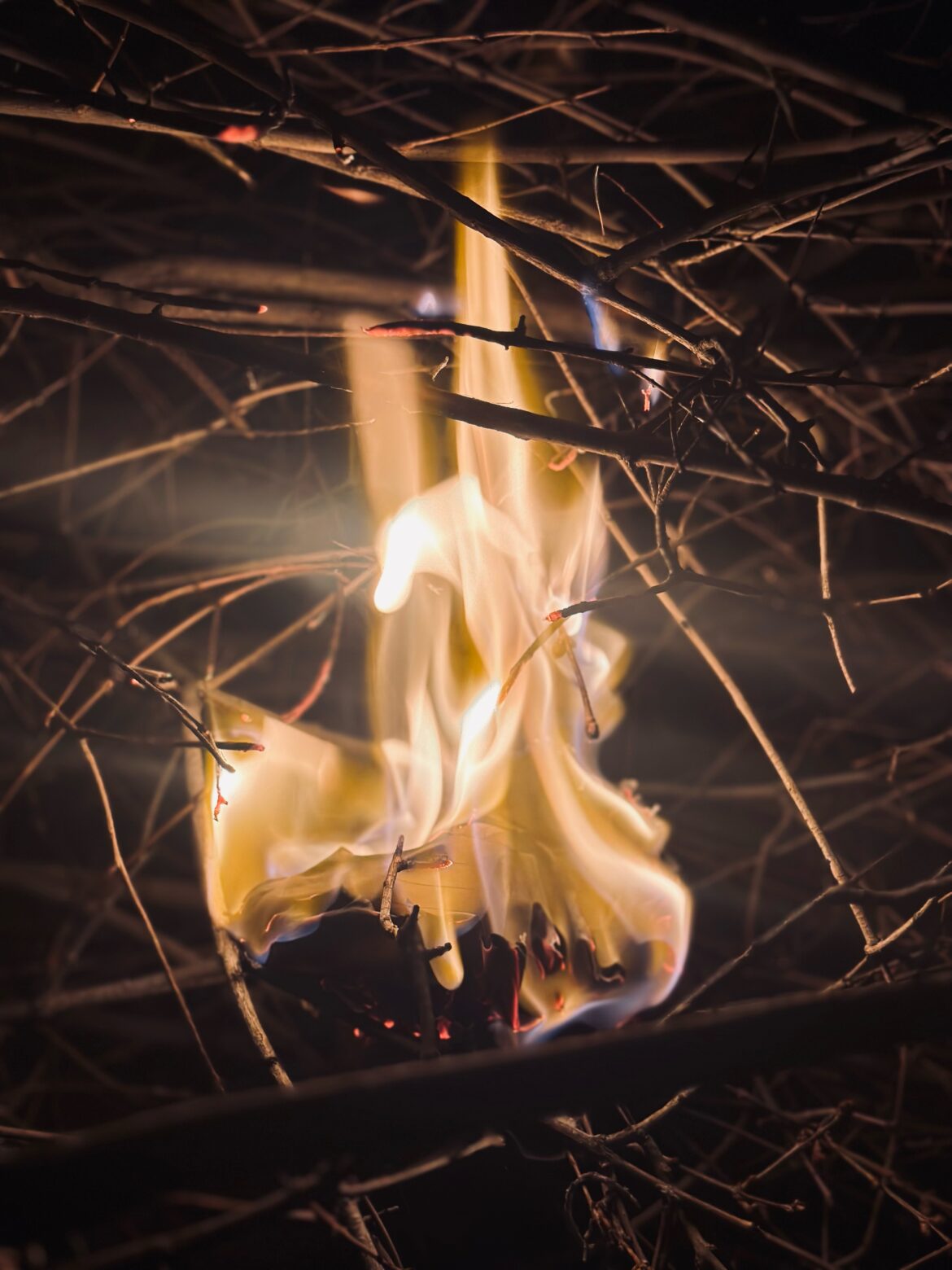 حال در معنادهی به گذشته مؤثر است.